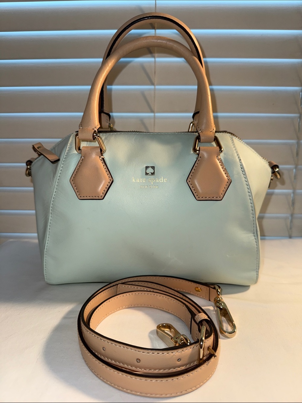 Kate Spade Mint Green/Brown Leather Catherine Street Pippa Satchel